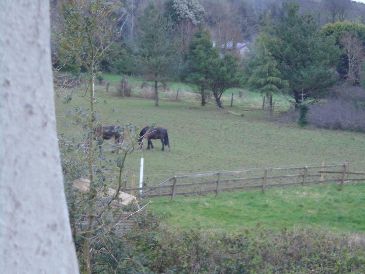 Ballynona House Midleton Luaran gambar